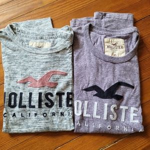 Hollister t shirts